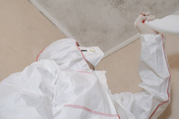Crawl Space Mold Removal in Scanlon, MN